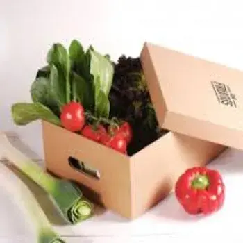 New Fruit and Vegetable Packaging Boxes